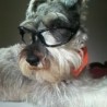 BRUNO